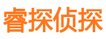 施甸侦探